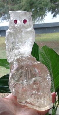 Natur Citrin Kristallschädel mit Eule 1,45 kg energetisiert